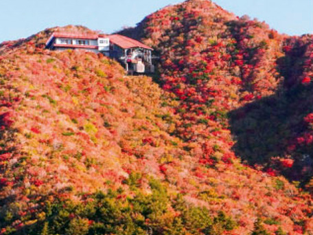 雲仙みかどホテルへ 食べ放題 飲み放題 生ビール ウイスキー ワイン等各種 腹いっぱいどうぞ 鹿児島 出水観光旅行社