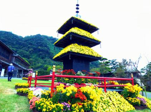 鹿児島・磯仙厳園の菊祭り　