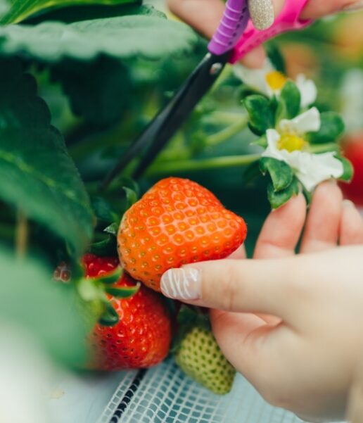 パンフレット画像01