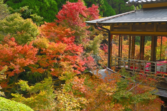 佐野常民と三重津海軍所跡の歴史館・環境芸術の森の紅葉へ