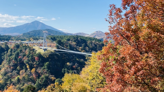 九重夢大吊橋からの紅葉　小国　北里柴三郎記念館へごあいさつ