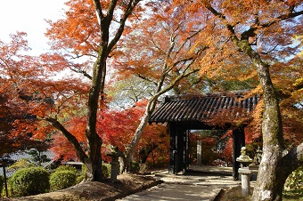 如意輪寺＆秋月城址の旅