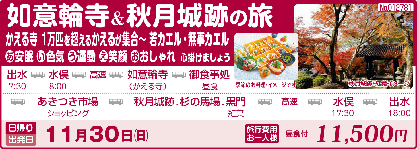 旅行概要