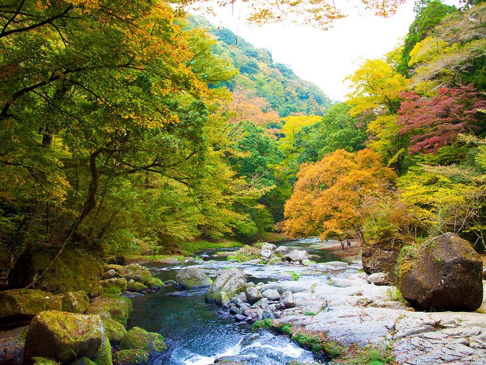 菊池渓谷の紅葉・菊地スカイラインの紅葉をみながら…