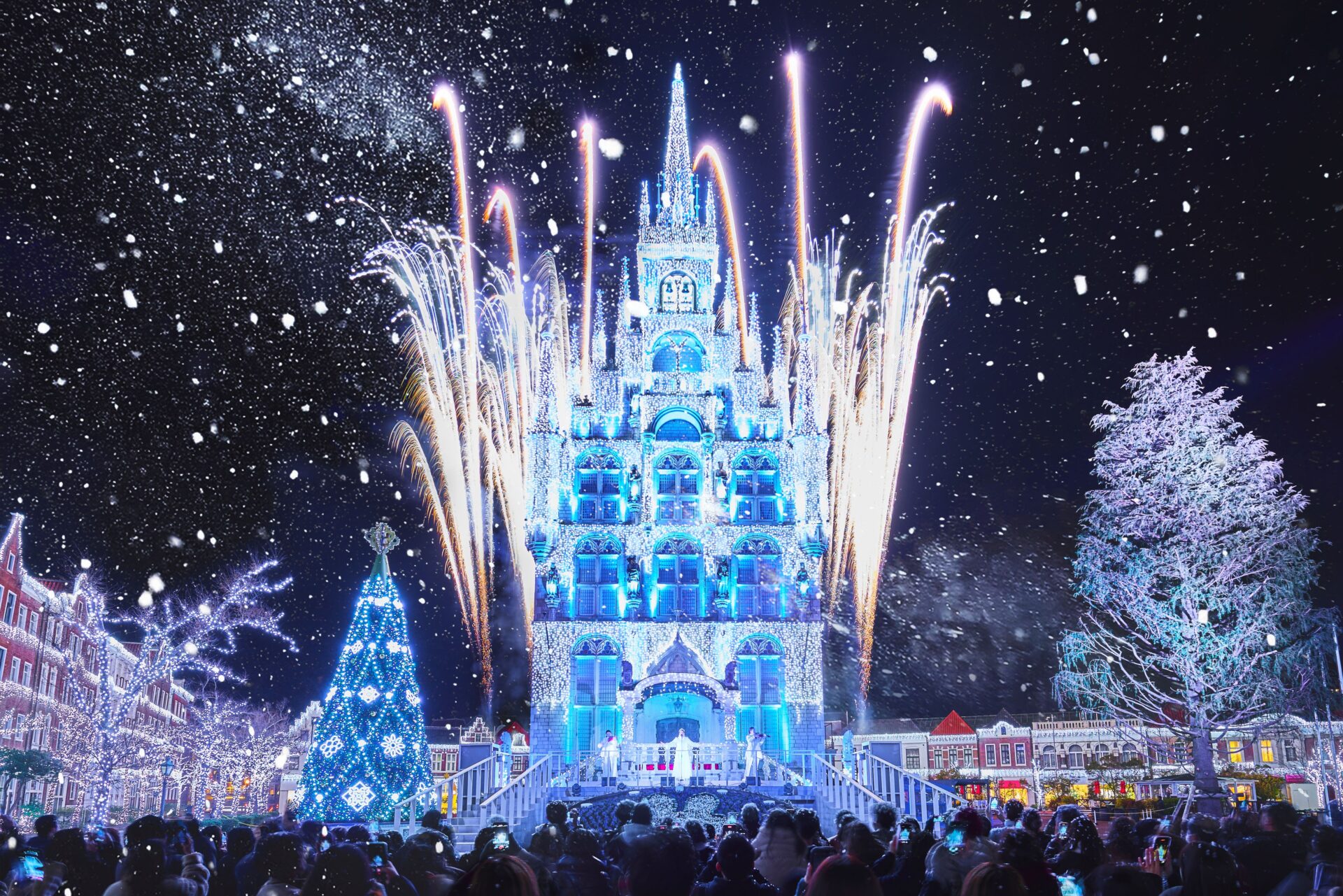 パンフレット画像01