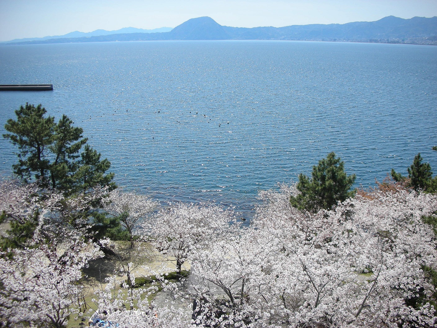 パンフレット画像03