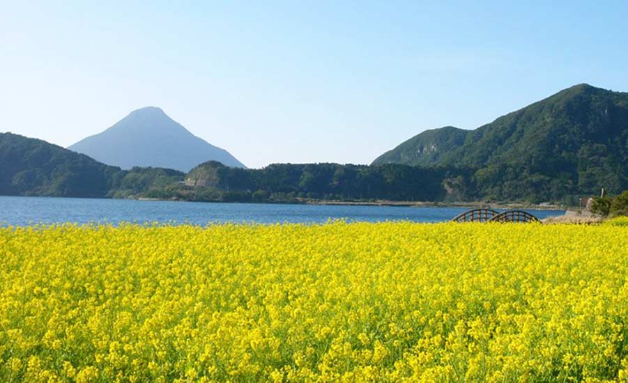 パンフレット画像01