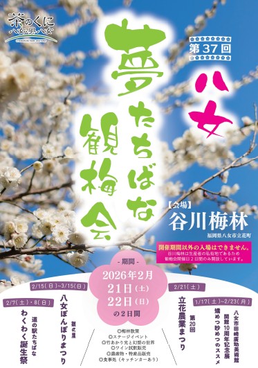 梅たちばな観梅会＆お座敷盆梅