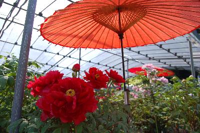 パンフレット画像02