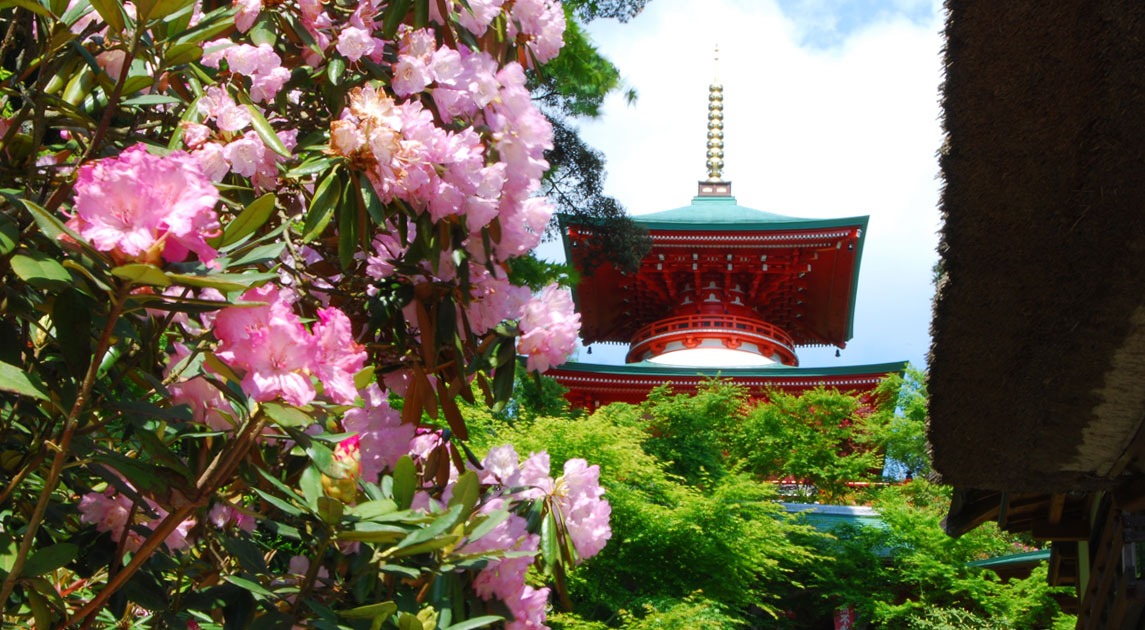 パンフレット画像02