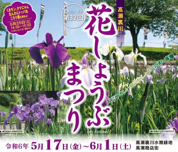 初夏を彩る花菖蒲咲く水辺散策とゆったり奥之院