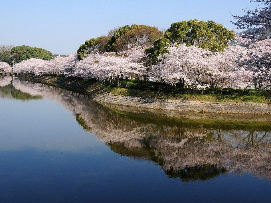 パンフレット画像02