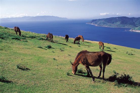 パンフレット画像03