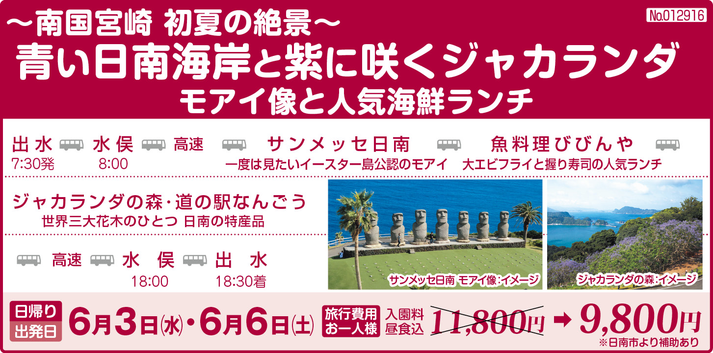 旅行概要