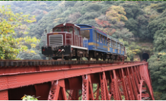 絶景トロッコ「ゆうすげ号」と阿蘇満喫！