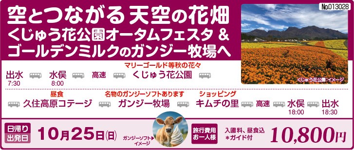 旅行概要