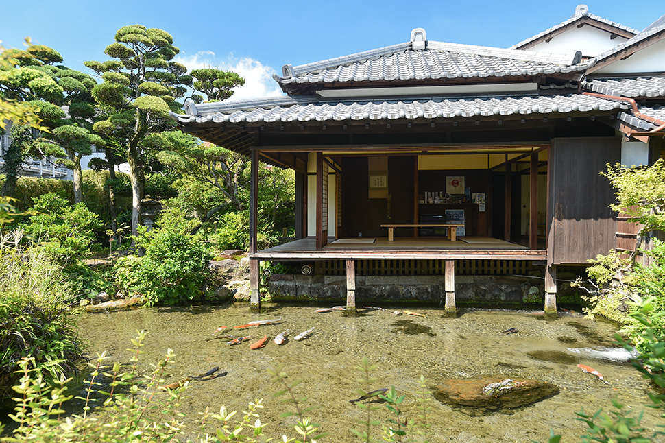 秋色に染まる島原へどうぞ