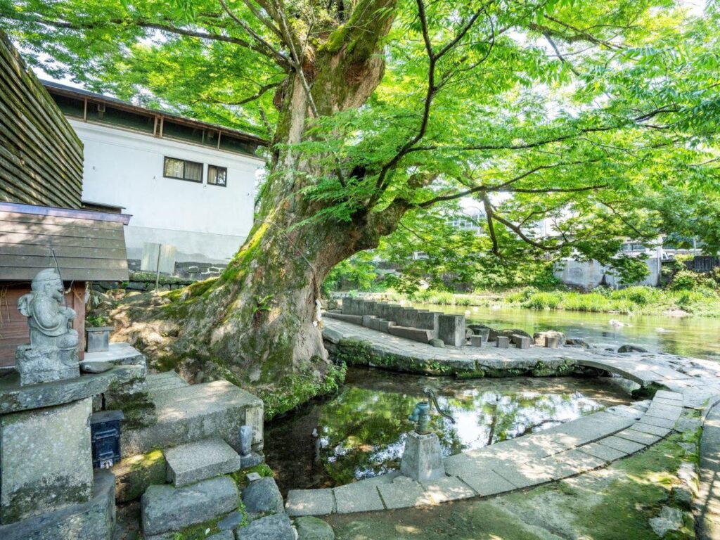 小国福運３社めぐりと名水が育む蕎麦をどうぞ